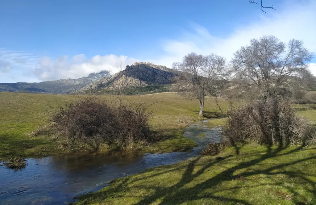 Un arroyo serpentea a través de un paisaje verde con árboles sin hojas en invierno y montañas rocosas al fondo bajo un cielo azul parcial.