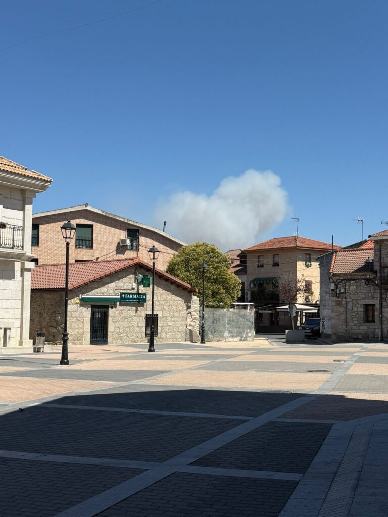 Una enorme y densa columna de humo y fuego se eleva sobre las copas de los árboles, visible a la distancia con una cordillera de montañas al fondo, en un día soleado, durante un incendio forestal.