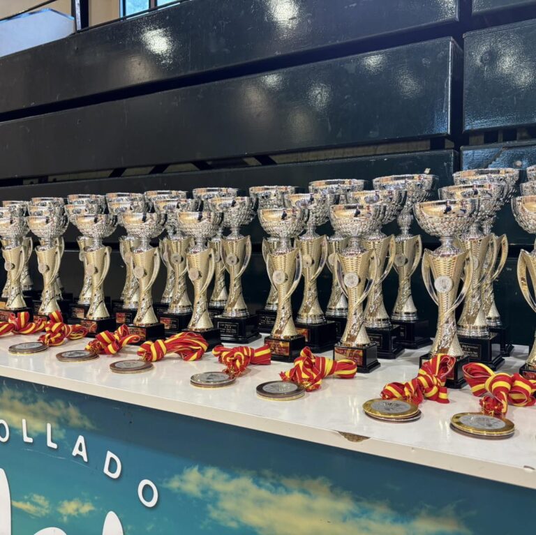 Trofeos y Medallas del Campeonato de Bádminton