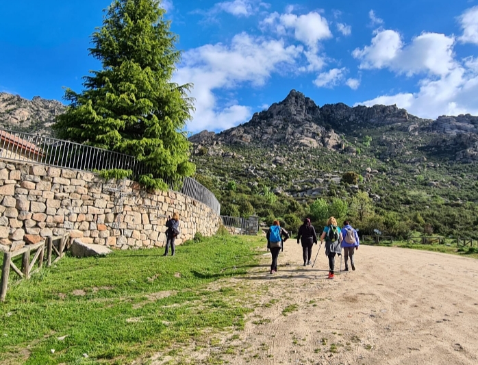 Grupo de cuatro personas practicando senderismo en un camino de tierra, con una pared de piedra, árboles verdes y montañas rocosas al fondo bajo un cielo azul con nubes.
