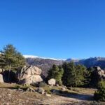 Paisaje invernal de La Pedriza con pinos, grandes rocas graníticas en primer plano y montañas con cumbres nevadas bajo un cielo azul intenso.