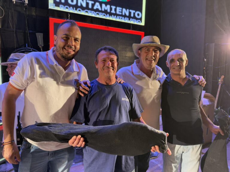 Una cantante y un teclista actuando en un escenario al aire libre por la noche, con luces de colores, durante las Fiestas de El Boalo 2025, parte de la oferta cultural del Ayuntamiento de El Boalo, Cerceda y Mataelpino.
