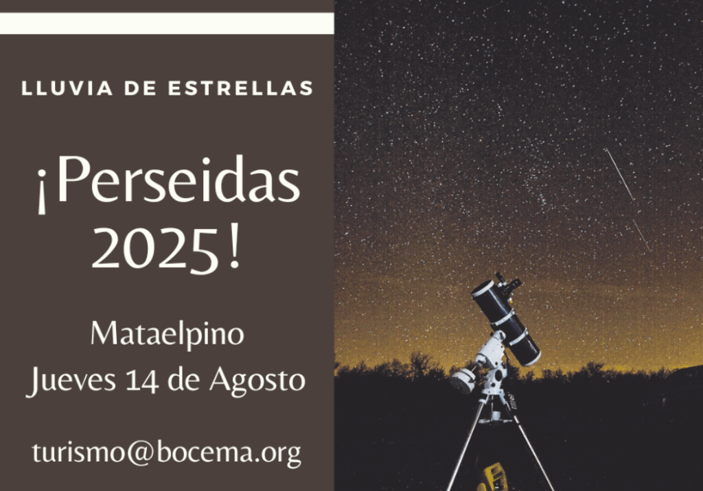 Póster para el evento "Perseidas 2025" con una foto de un telescopio bajo un cielo nocturno estrellado.