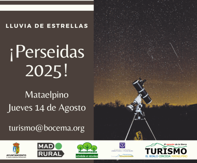 Póster para el evento "Perseidas 2025" con una foto de un telescopio bajo un cielo nocturno estrellado.