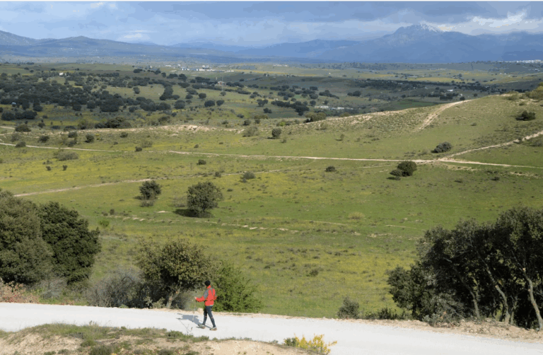 Un excursionista solitario con bastones de trekking camina por una carretera asfaltada en un vasto paisaje de prados y colinas bajo un cielo con nubes.