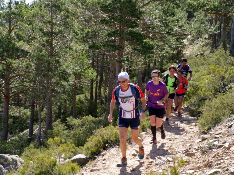 Grupo de corredores de trail running en un sendero forestal, rodeados de pinos y vegetación de montaña en un día soleado.