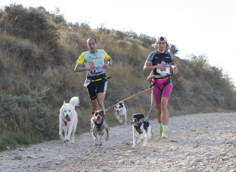 Dos corredores de canicross y sus perros corren juntos por un camino de grava en un paisaje de colinas secas.