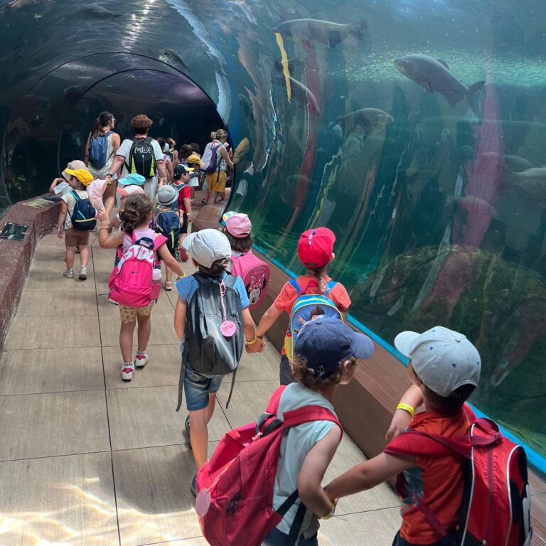 Un grupo de niños practicando un deporte con un monitor en una instalación deportiva cubierta.